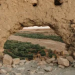 pexels-ekrulila-13794406