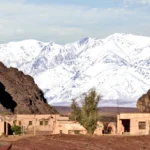 pexels-mographe-29816095