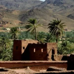 pexels-mographe-30254942